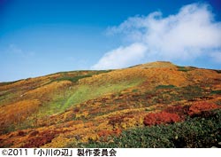 『小川の辺』スチール