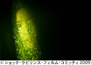 作品スチール