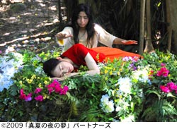 作品スチール