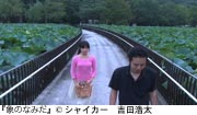 作品スチール