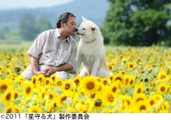 作品スチール