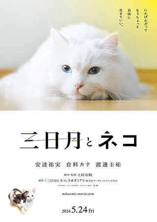記事写真