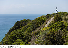 記事写真