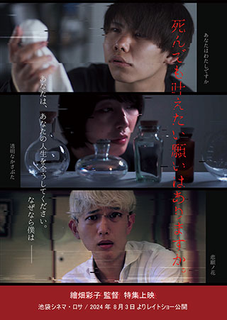 記事写真